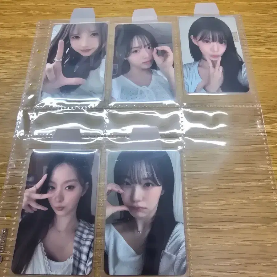 프로미스나인 2025 멤버십 포카