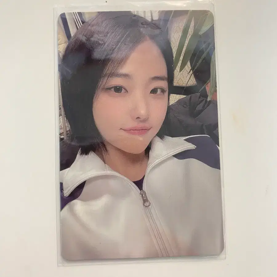 qwer 고민중독 포카