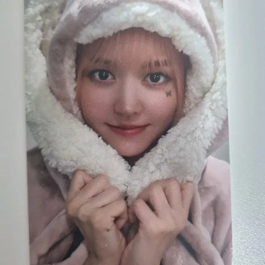 릴리 에버라인 expergo 특전