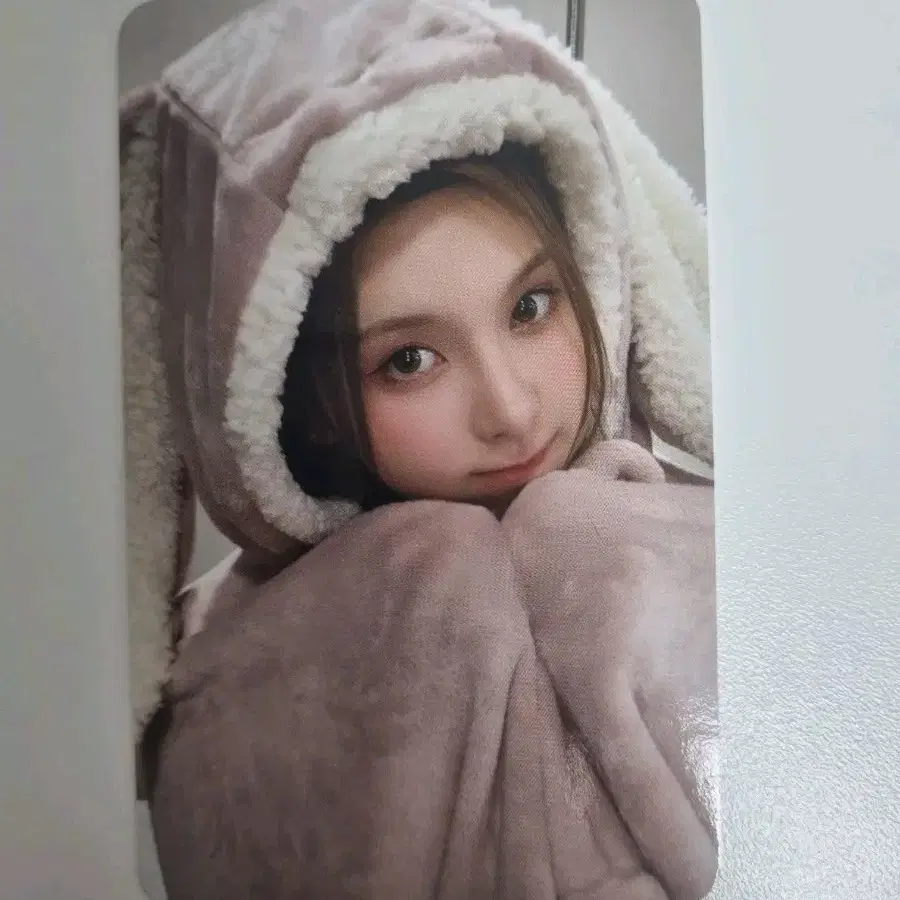 배이 에버라인 expergo 특전
