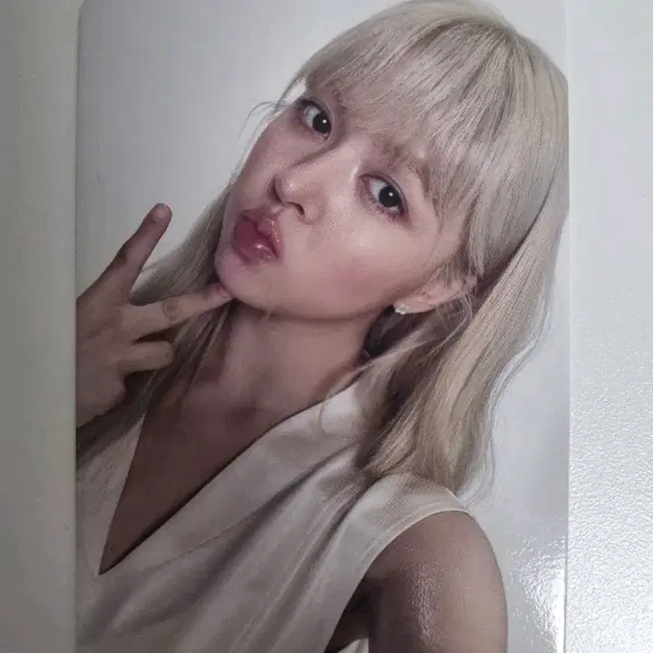 릴리 헤비세레나데 알라딘 특전