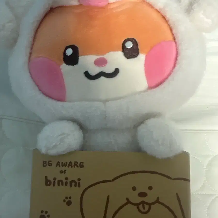 강아지 비니니
