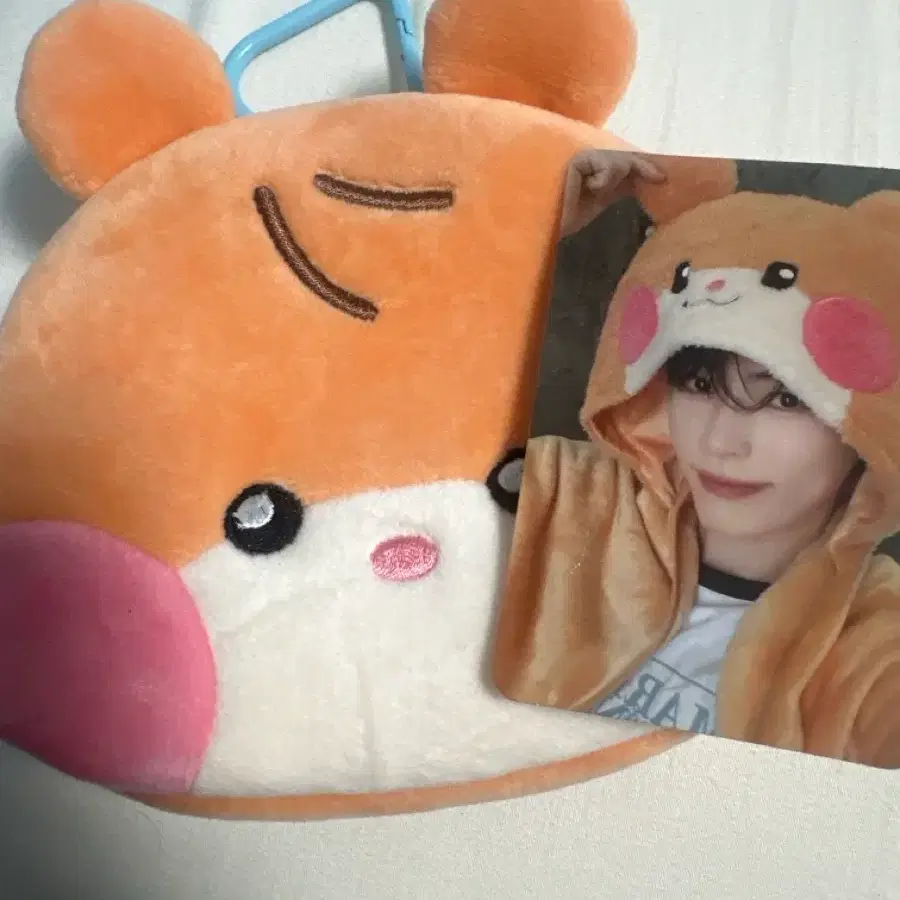 비니니 파우치