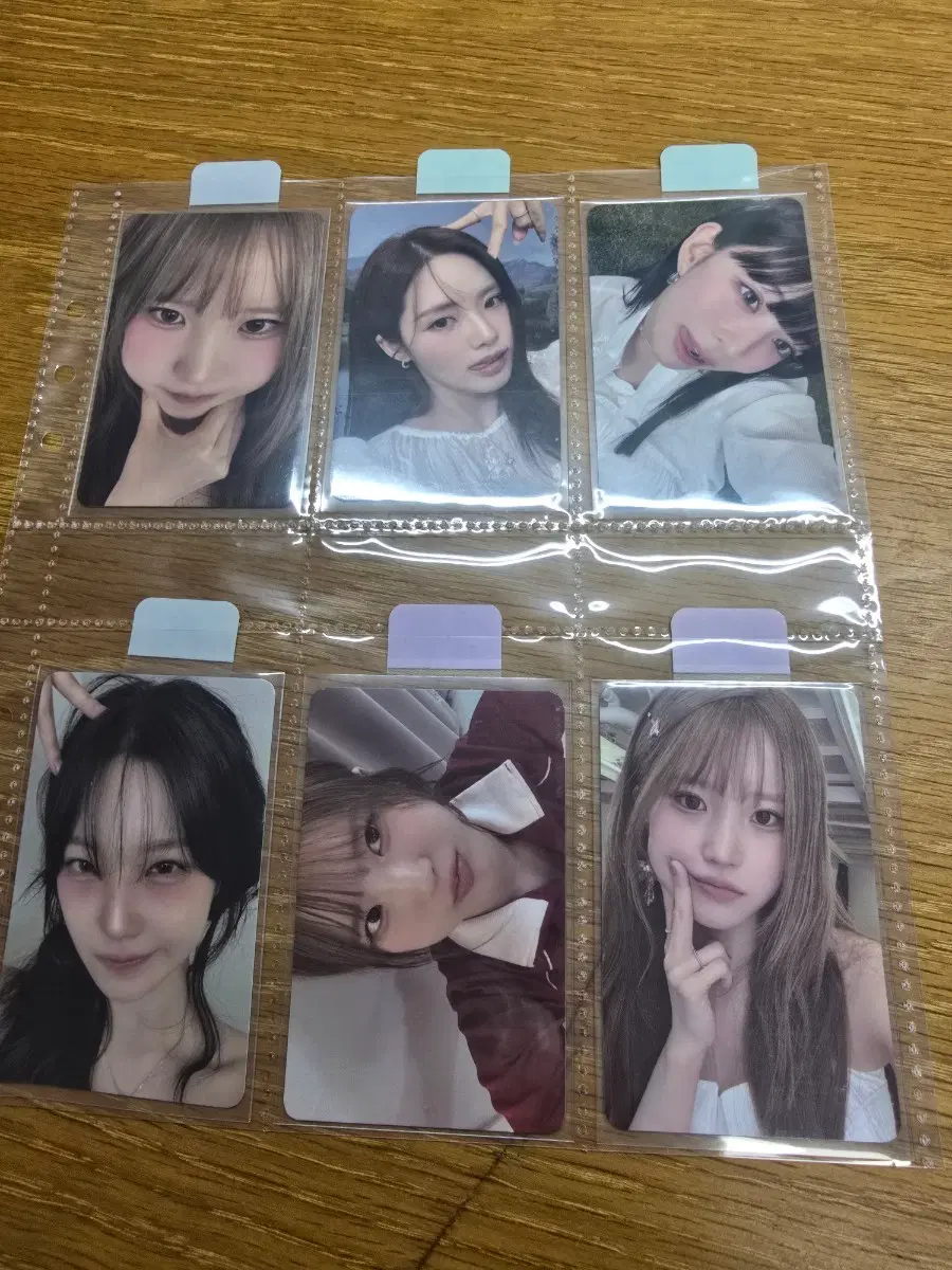 프로미스나인 콘서트 포카