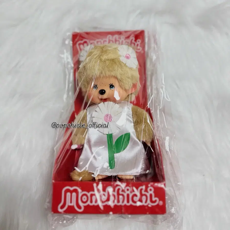 몬치치 유럽 데이지 플라워