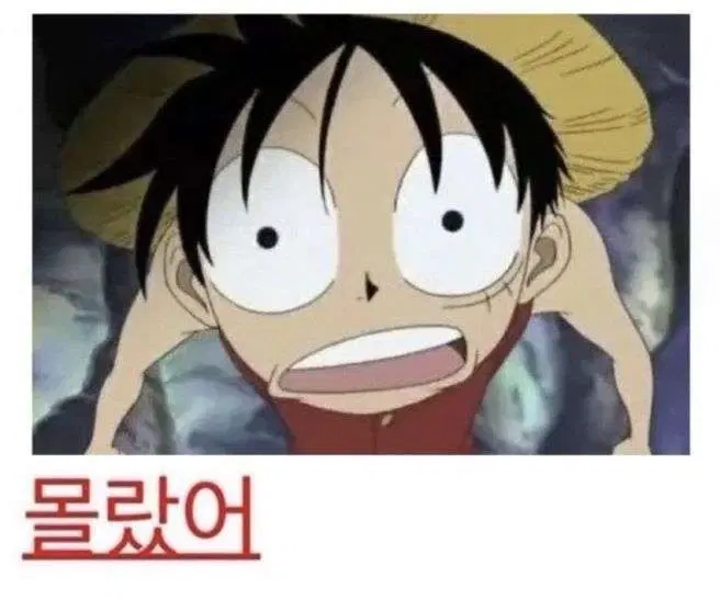 스코시즘 오토레이니 8월 매거진 구합니다(26년 8월)