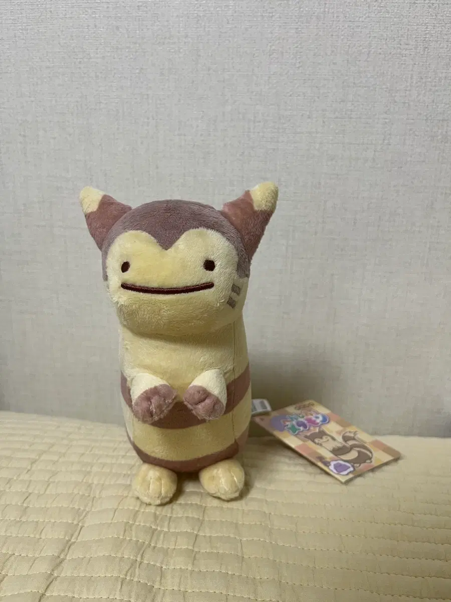 변신메타몽 인형 다꼬리 일본 정품