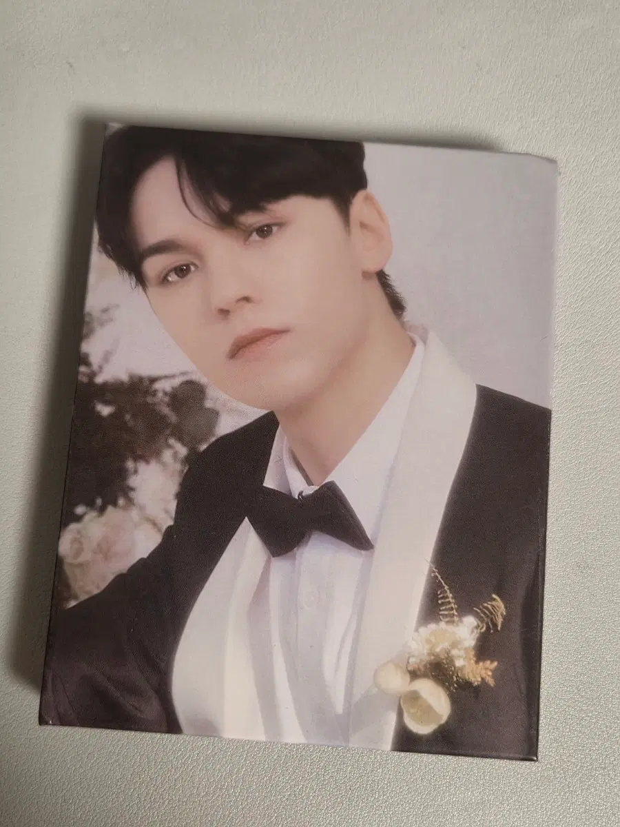 세븐틴 버논 캐럿반 판매합니다.