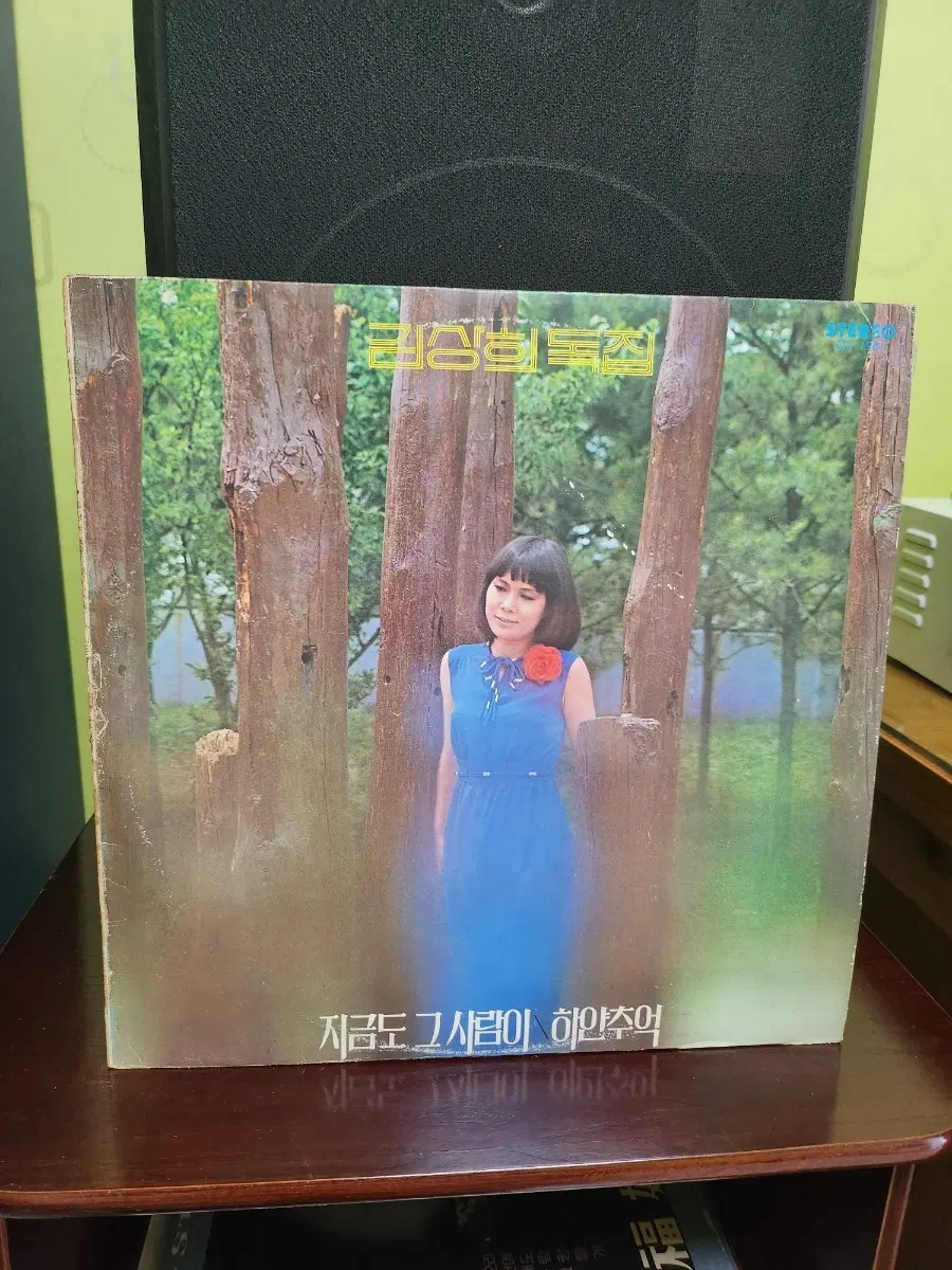 김상희 lp