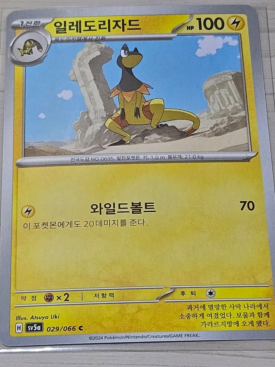 [최저가] 포켓몬카드 일레도리자드