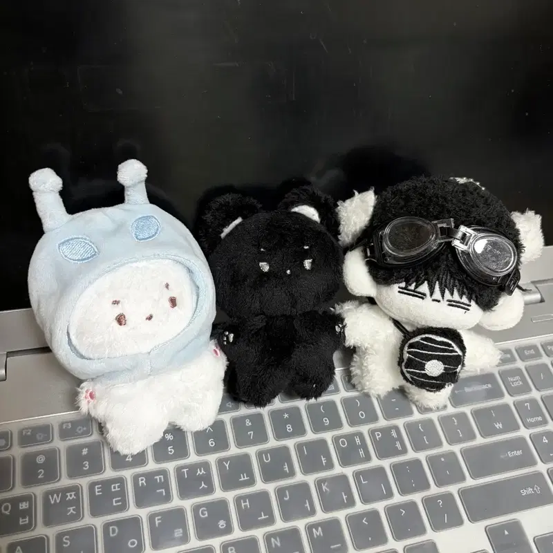 보넥도 인형 판매 솜넥도 태산 이한 수상한 옆집 강한류 비공굿