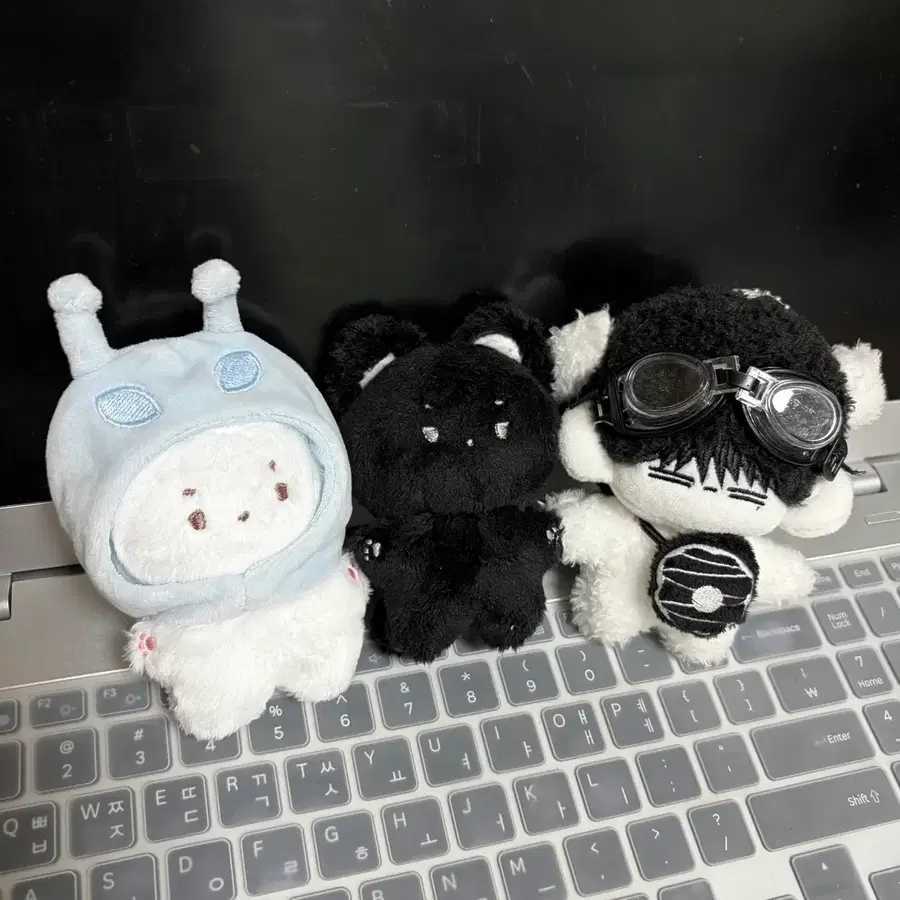 보넥도 인형 판매 솜넥도 태산 이한 수상한 옆집 강한류 비공굿
