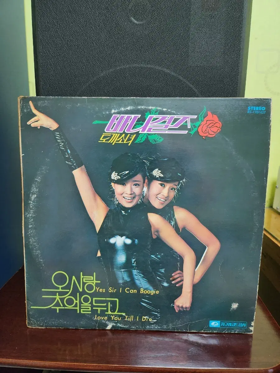 바니걸즈 lp