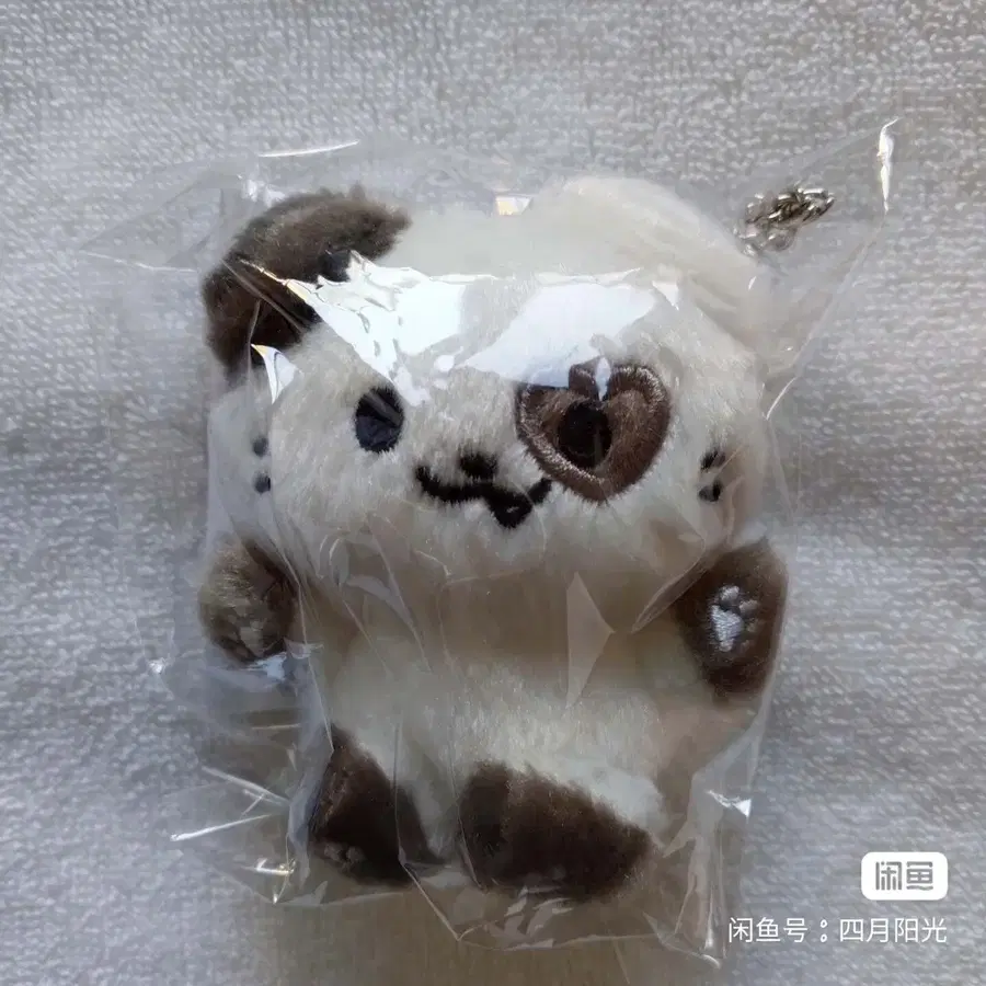 예판 있지 일본 인형 예지