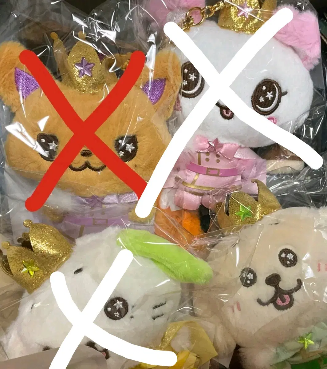프린스 위시돌 (댕트)