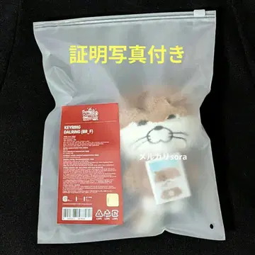 BOYNEXTDOOR 푸넥도 키링 달링 리우 트레이딩 카드 마스코트