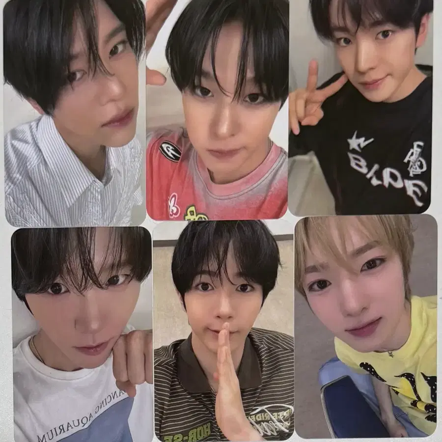 엔시티 위시 보및걸 요이동 돈 삼성 갤럭시 회장 시온 리쿠 유우시 재희 료 사쿠야 포카 앨범 분철 대리구매 공구