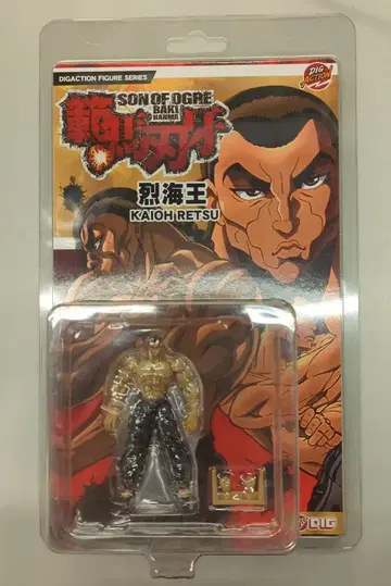 DIG DIGACTION 렬해왕