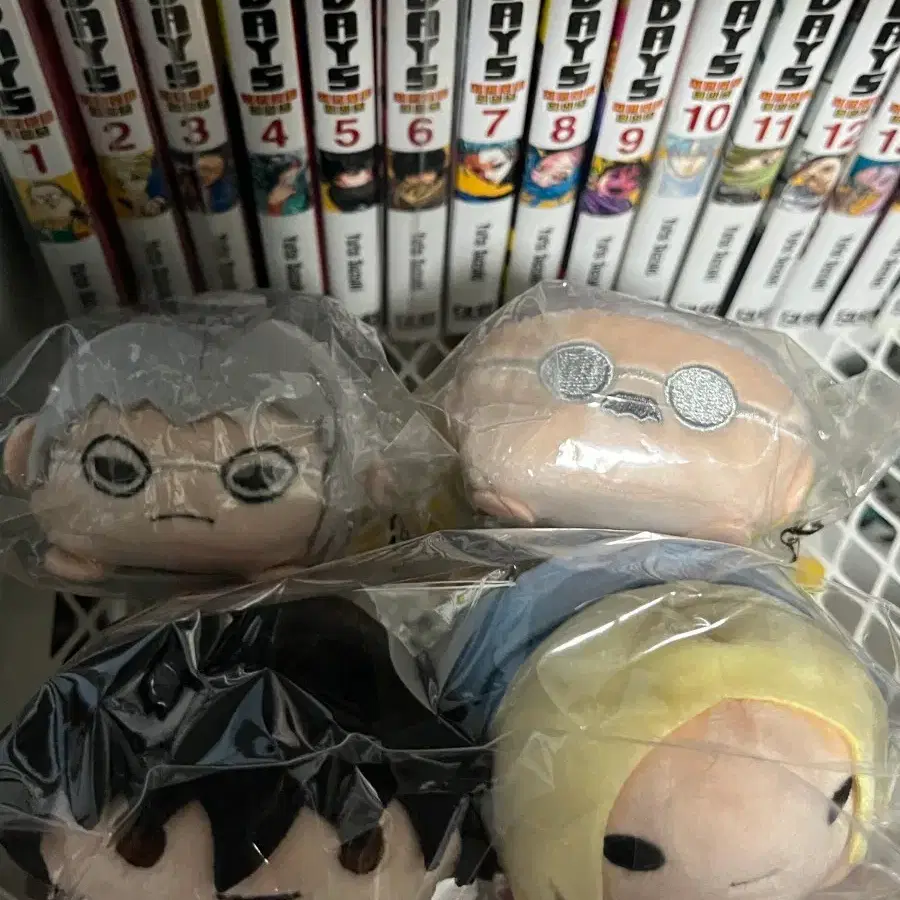 사카모토데이즈 사카데이 쯔무 노루캬라 누이 일괄 판매