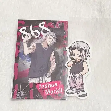 스트그라 조슈아 폴라로이드 스티커 868