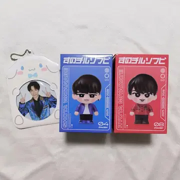 SnowMan 스노치루 소프트 비닐 와타나베 쇼타 미야타테 료타 유리조