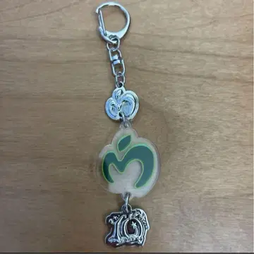 Mrs. GREEN APPLE 10주년 키링 참