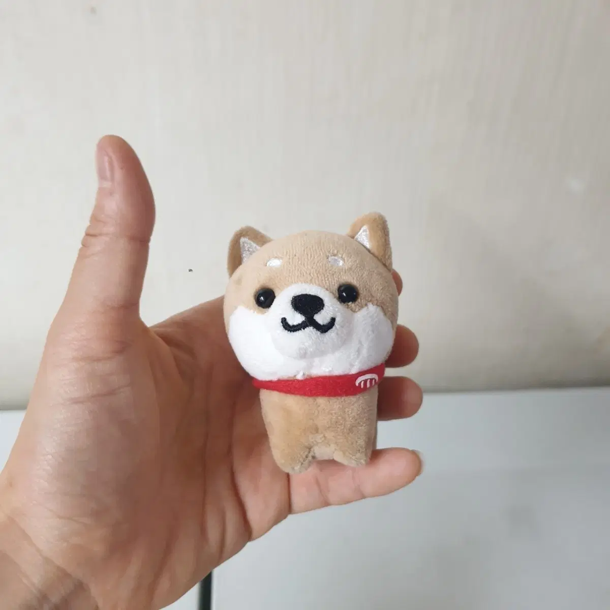 시바견 인형