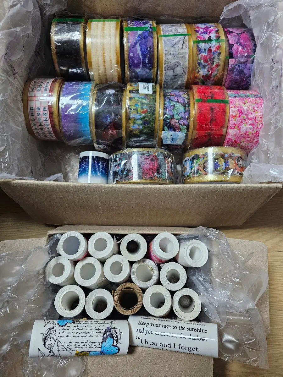 통디테 디테박테 디테말이 대폭디테 일괄