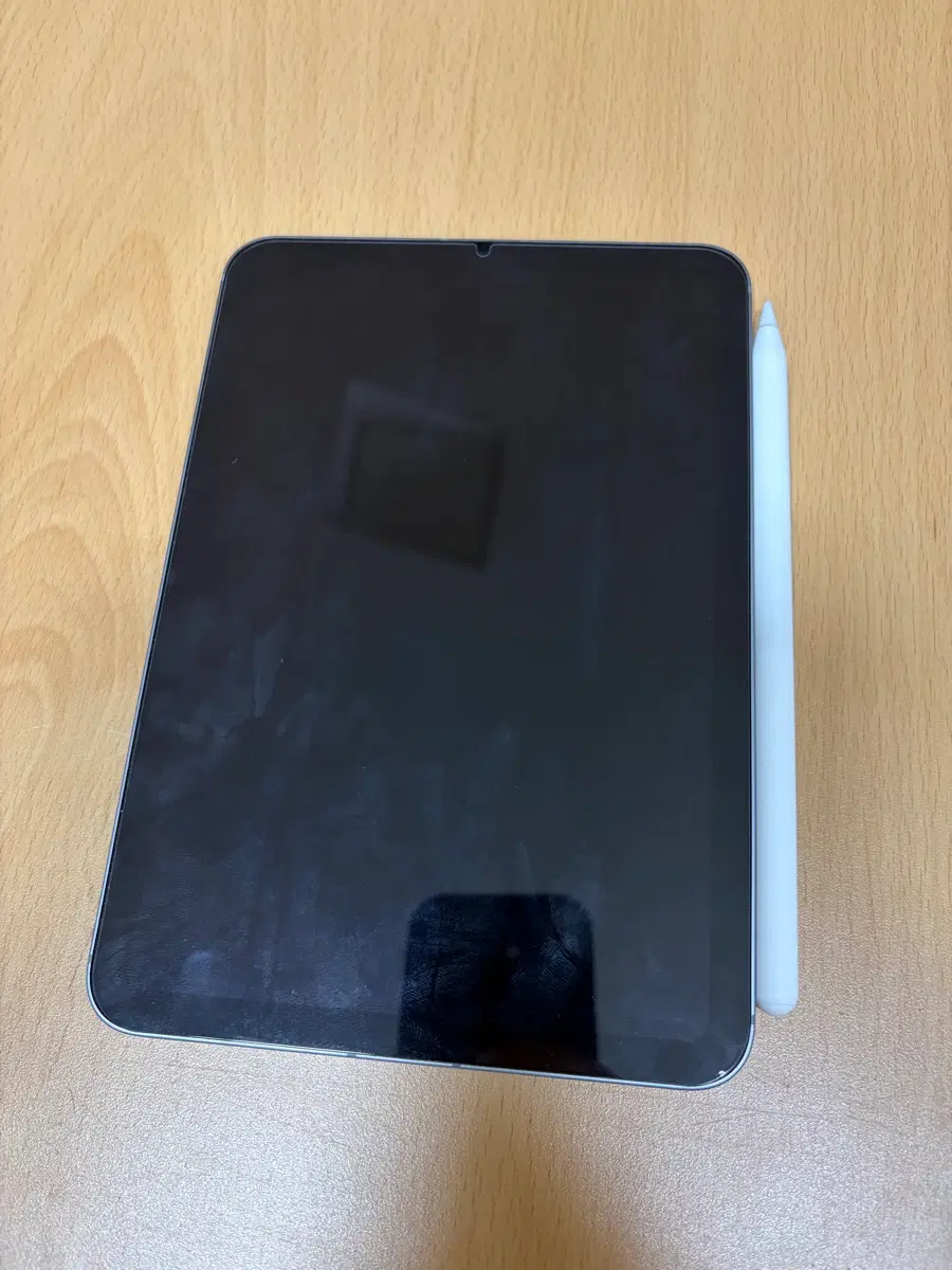 애케플 있음)셀룰러 iPad 미니7세대 256GB + 애플펜슬 프로