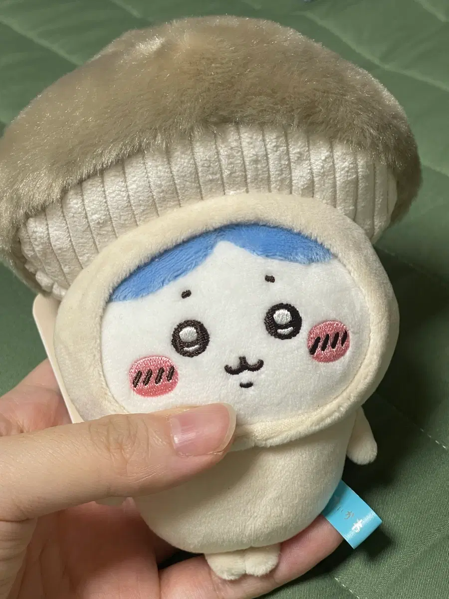 치이카와 하치 & 우사기 버섯 인형