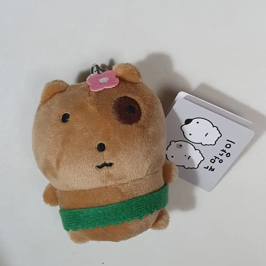 태닝 눈멍냥이 인형 키링 새상품