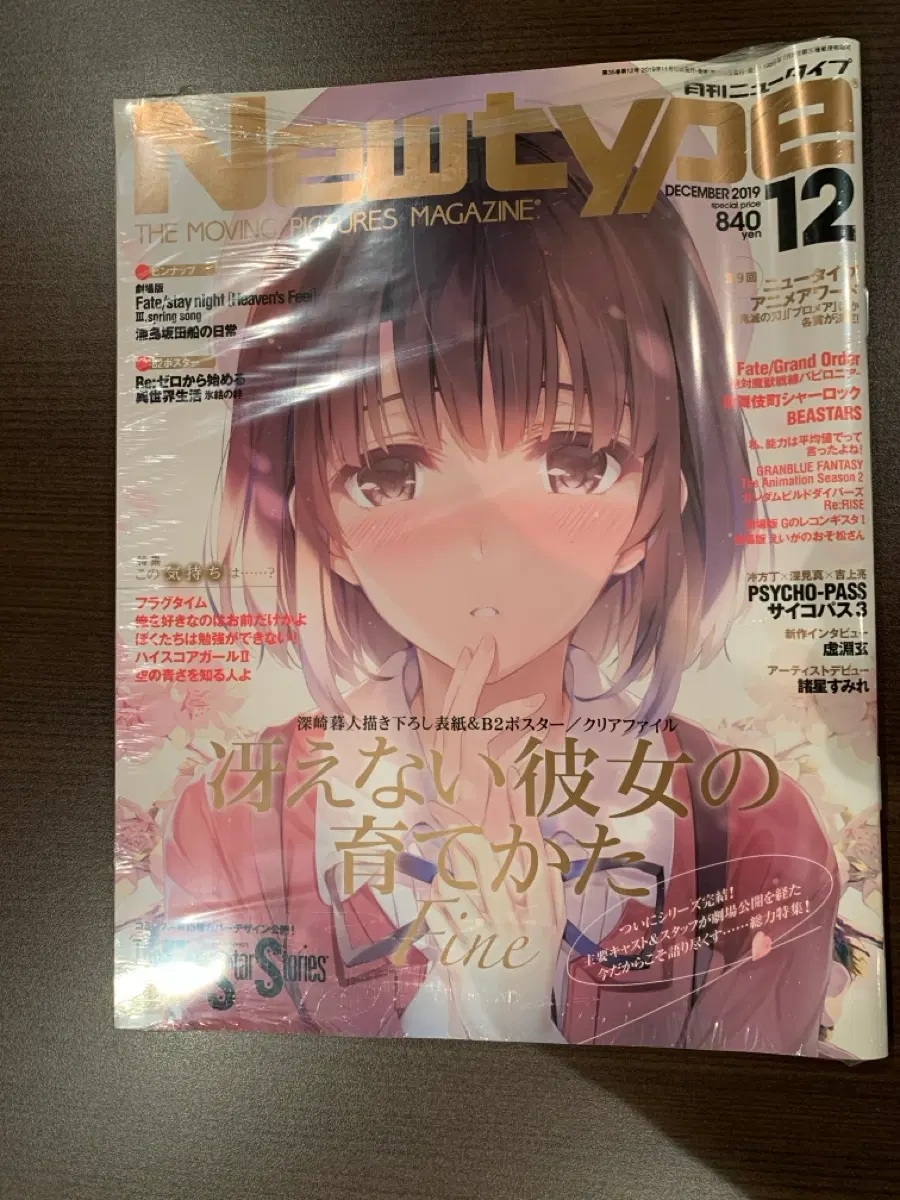 Newtype 뉴타입 2019년 12월 사에카노 특집편(미개봉) 시원찮은 그녀