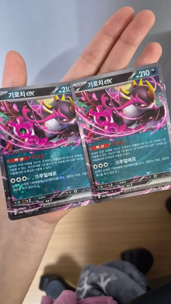 2장 일괄 기로치 ex rr