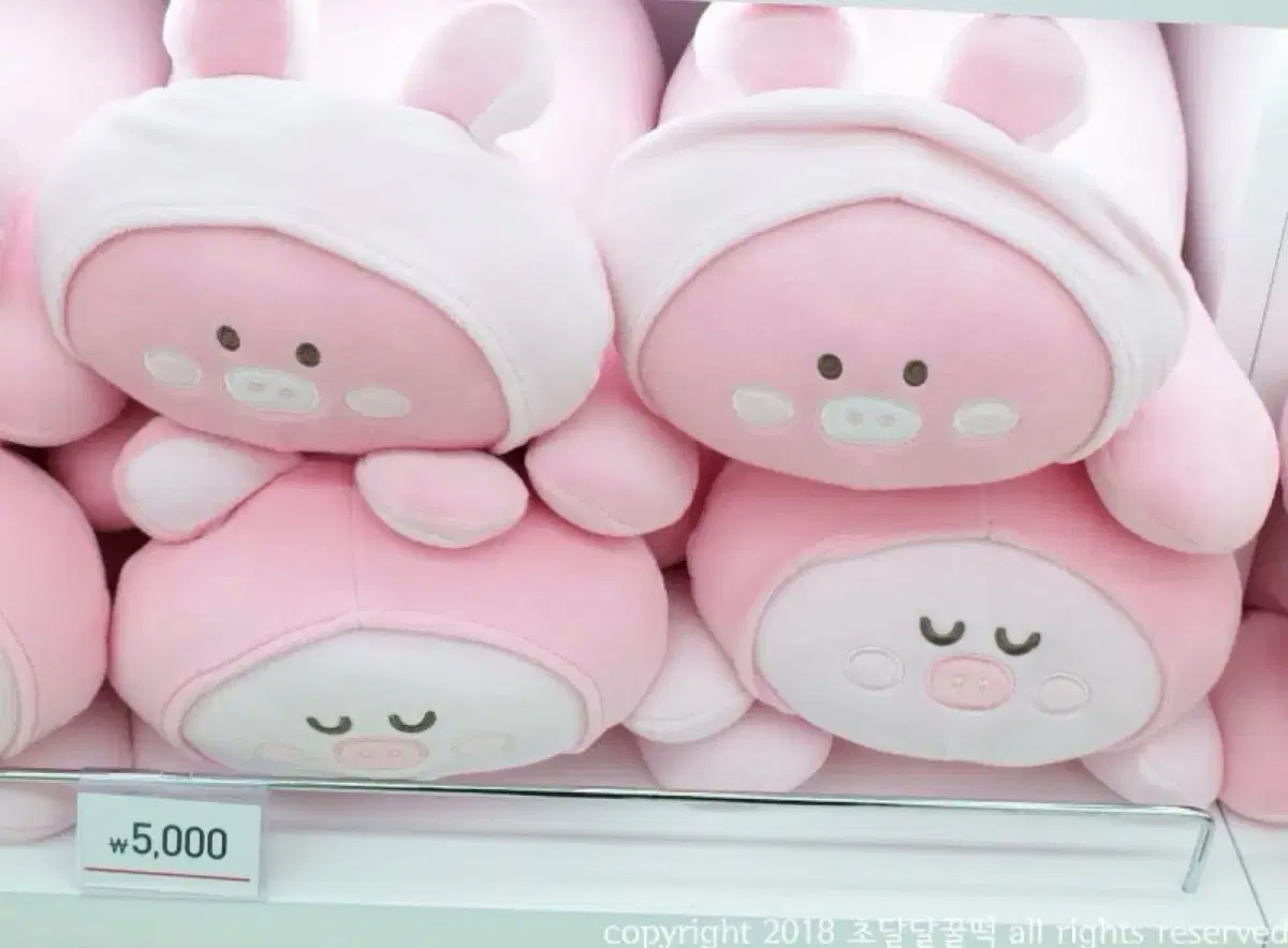 다이소 돼지 인형 구합니다!!