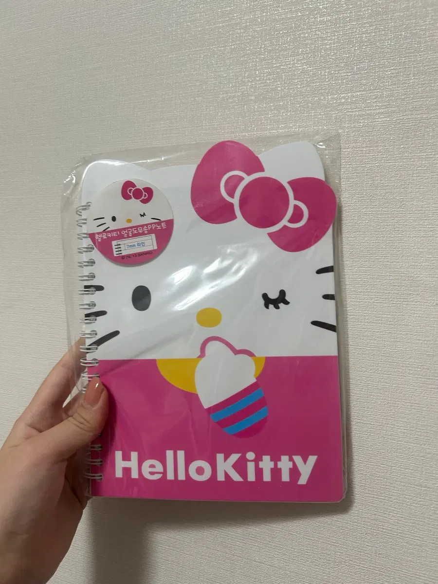 키티 노트팔아용