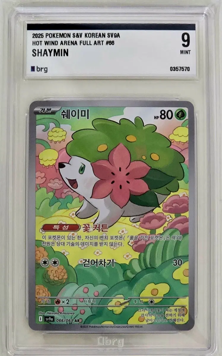 포켓몬카드 쉐이미 AR BRG 9