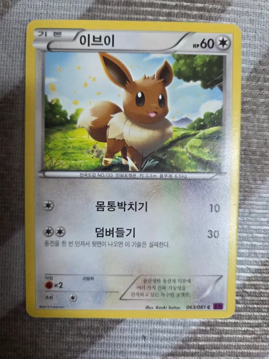 포켓몬 카드 XY7 이브이 063/081 B+급 이상