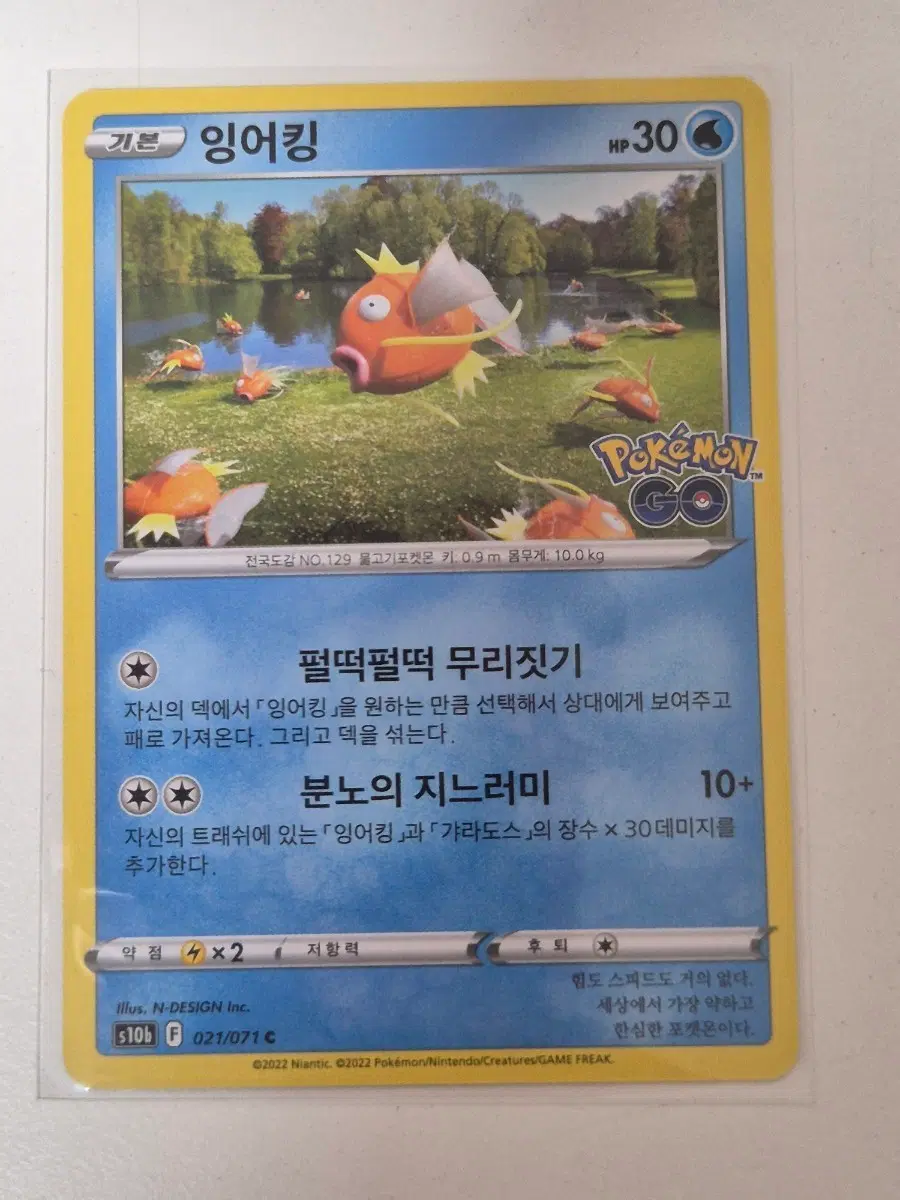 누. 포켓몬카드 잉어킹 s10b C 일반