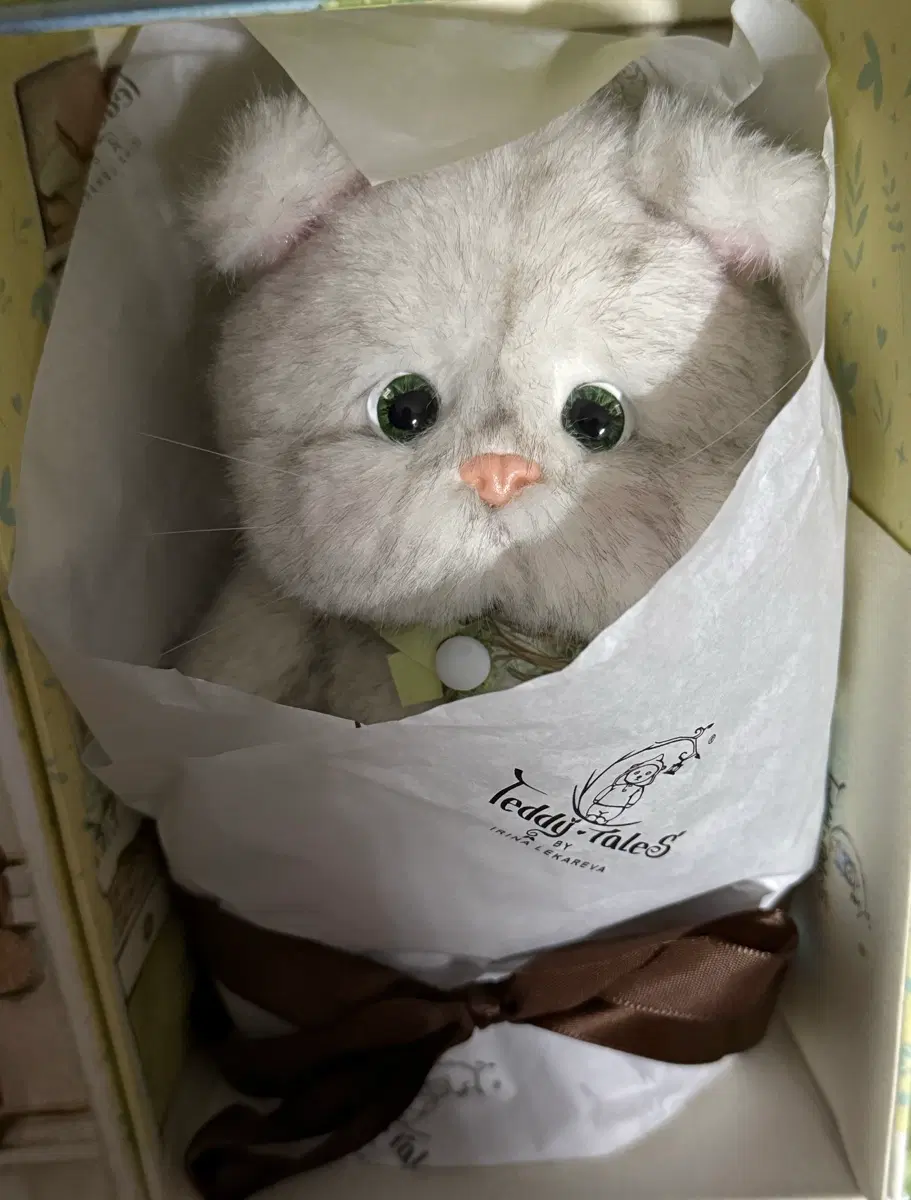 테디테일즈 민들레 고양이
