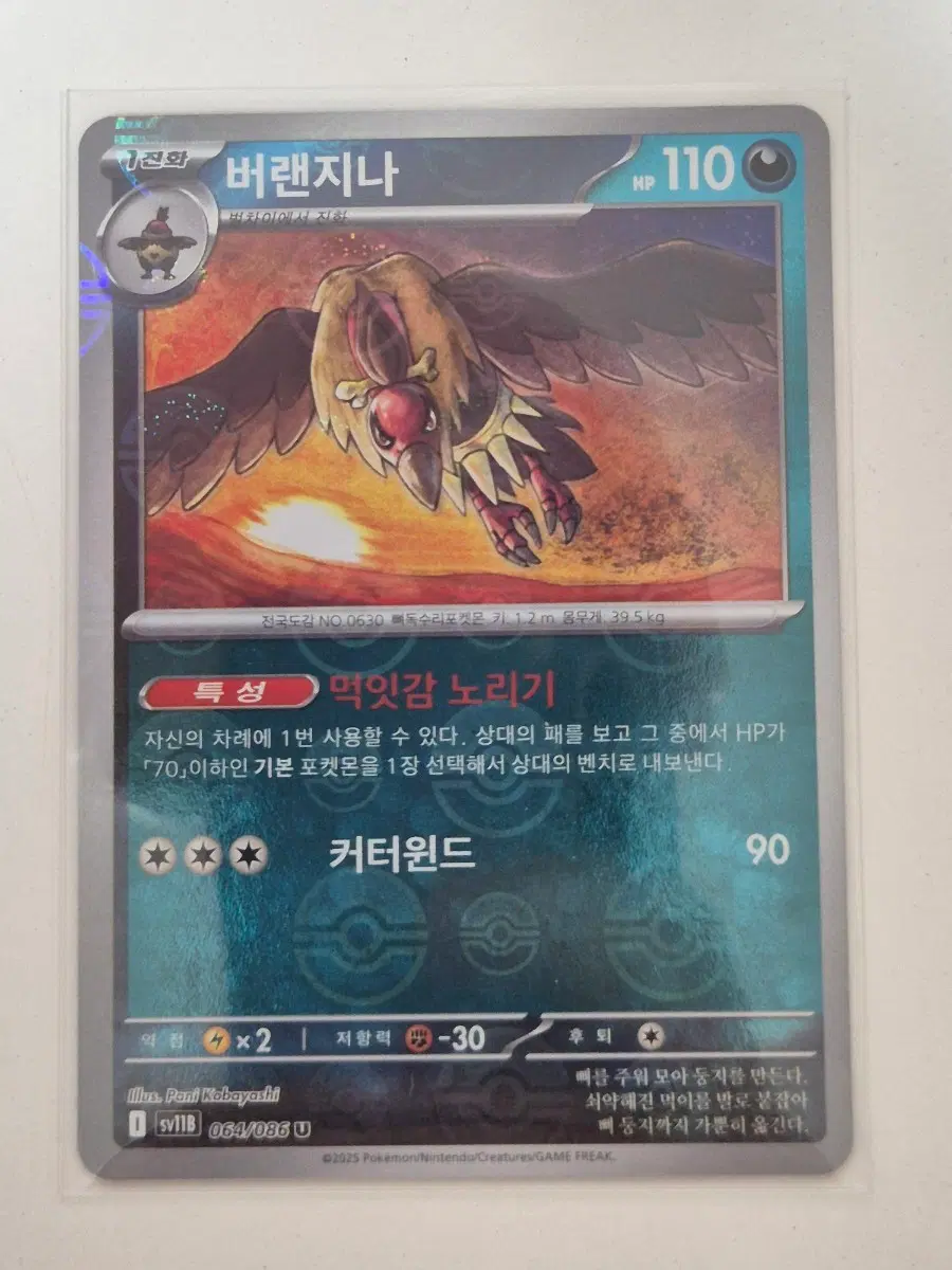 노. 포켓몬카드 버랜지나 몬스터볼