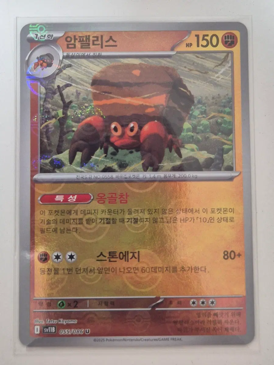 누. 포켓몬카드 암팰리스 몬스터볼