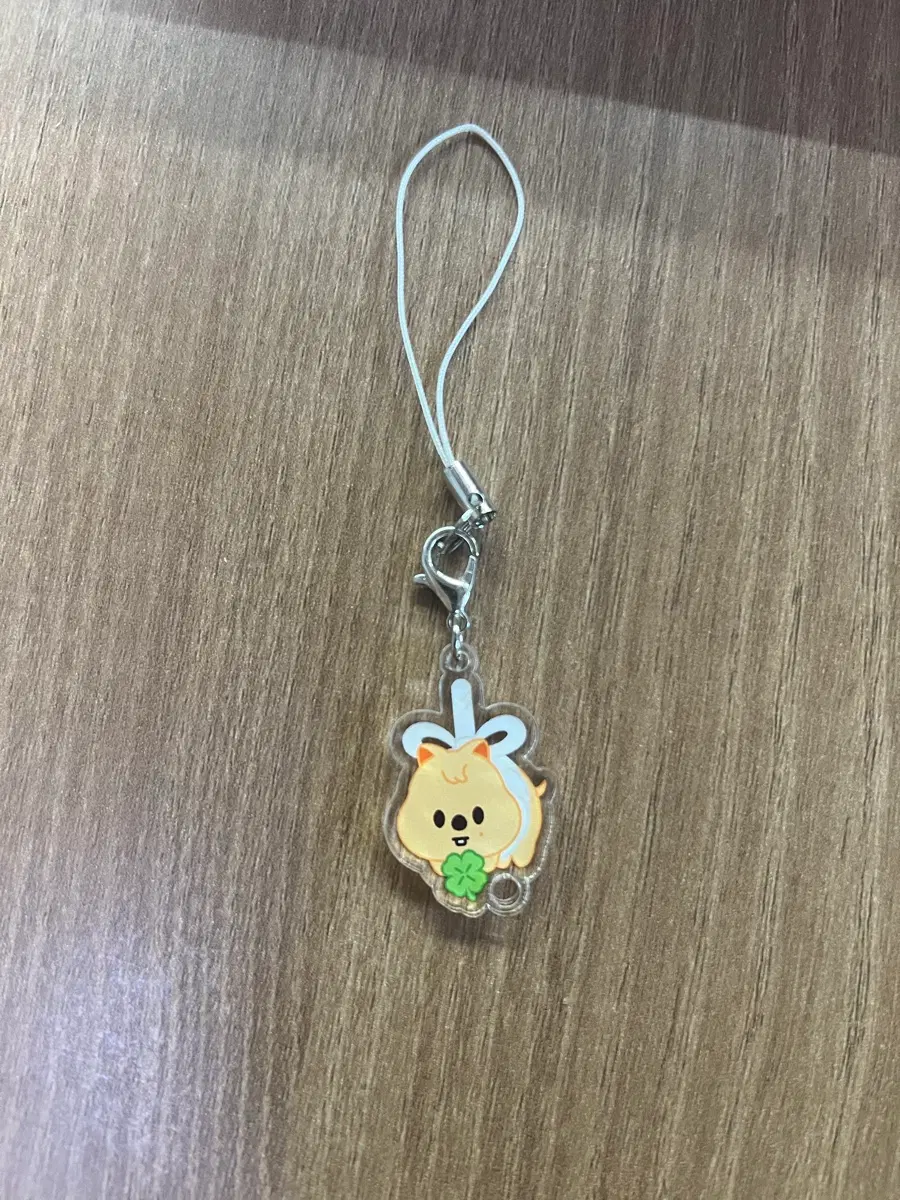 급전, 번장 유일매물) 스키주 한쿼카 아크릴 키링