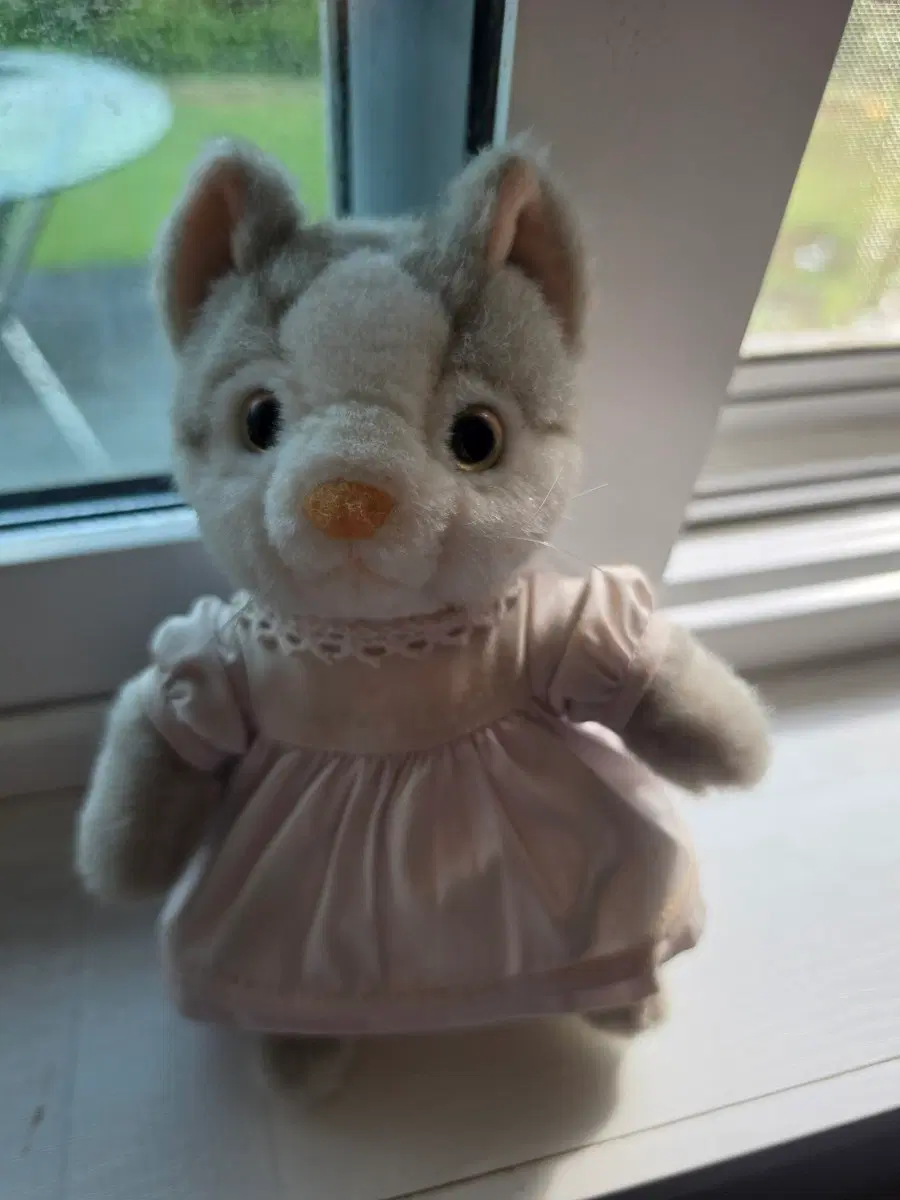 피터래빗 고양이 인형 세트
