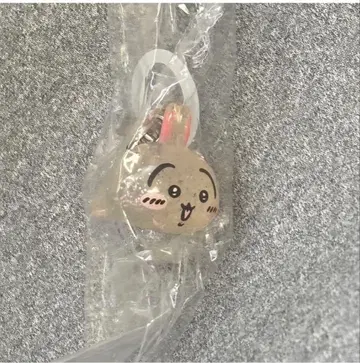 치이카와 파크 입장 특전 토끼 표식 참