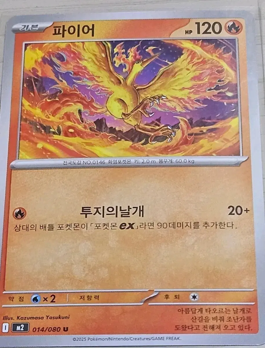 [득템] 포켓몬카드 파이어, 썬더, 프리져 세트 [10%할인]
