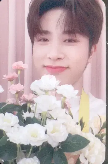 TREASURE Blooming SO JUNGHWAN 트레이딩 카드