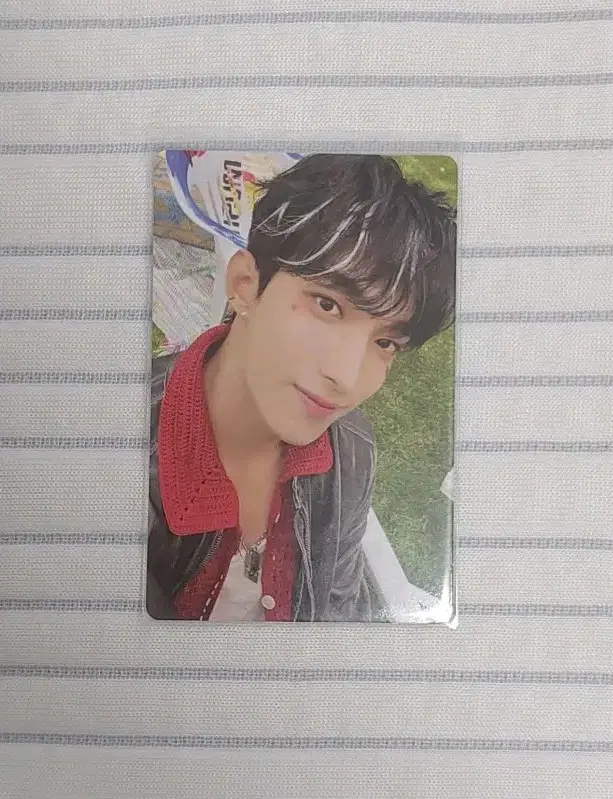 세븐틴 헤븐 도겸 포카