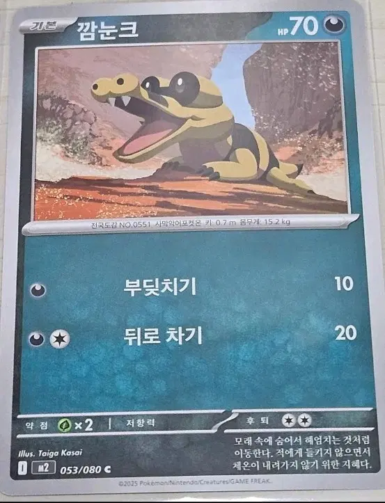 [득템] 포켓몬 카드 깜눈크, 악비르, 악비아르 세트 [10%할인]