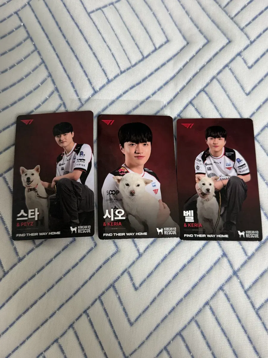 T1 페이즈 케리아 포토카드 3종 세트