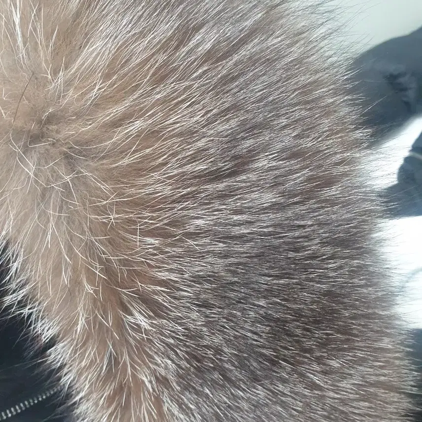 몽클레르 몽클레어 보에딕 1size 사진 2